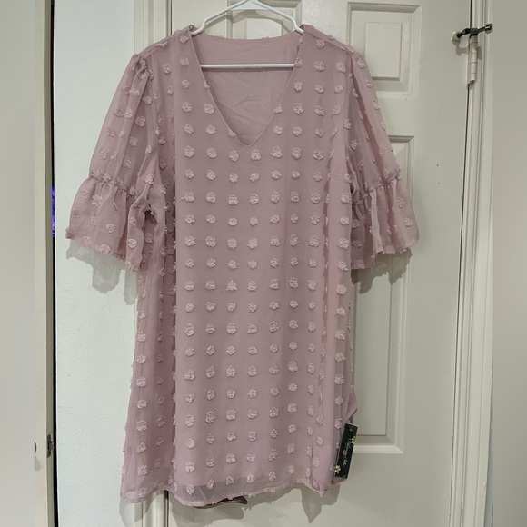 Blooming Jolly NWT Chiffon Dusty Pink V-Neck Mini Dress size XL - Picture 3 of 8